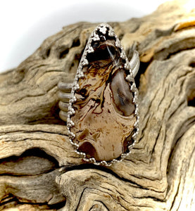 petrified palm shown on ring in natural setting