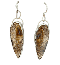 Load image into Gallery viewer, palmwood root earrings