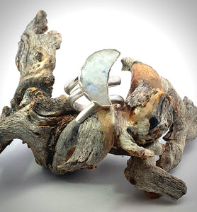 Silver ring with a moonstone on a piece of driftwood against a white background