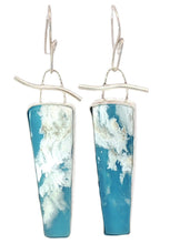 Load image into Gallery viewer, A pair of silver drop earrings featuring elongated, tapered plume agate gems suspended from silver fishhook wires and a small curved silver bar.