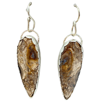 Load image into Gallery viewer, palmwood root earrings