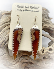 Load image into Gallery viewer, amber earring in natural setting